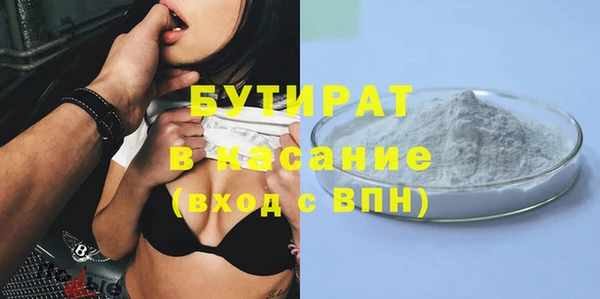 сатива Бородино