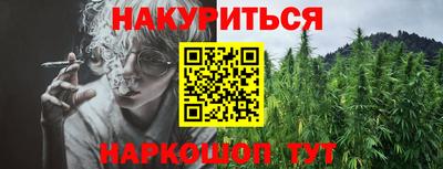 шишки Можга