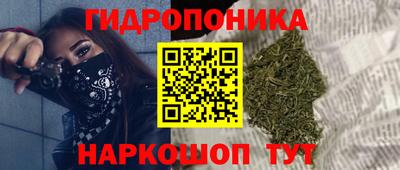 apvp Моздок